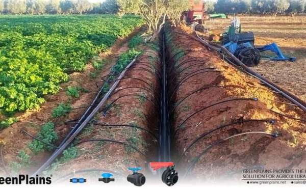 chennai landscape, chennai landscaping, chennai landscape designers, chennai garden maintenance, chennai garden management,