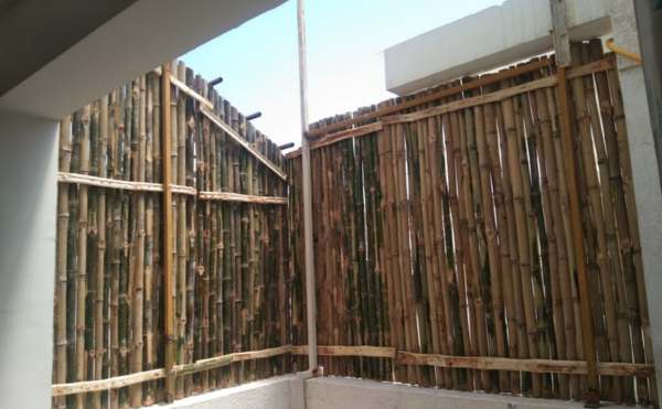 chennai landscape, chennai landscaping, chennai landscape designers, chennai garden maintenance, chennai garden management,
