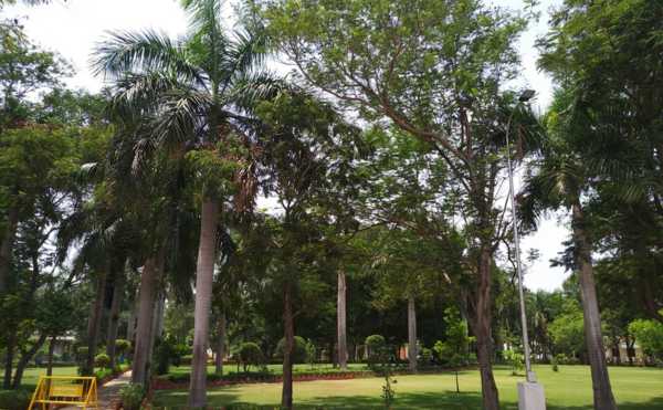 chennai landscape, chennai landscaping, chennai landscape designers, chennai garden maintenance, chennai garden management,