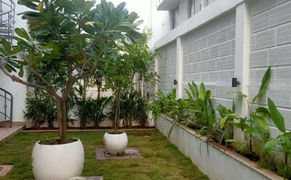 chennai landscape, chennai landscaping, chennai landscape designers, chennai garden maintenance, chennai garden management,