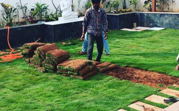 chennai landscape, chennai landscaping, chennai landscape designers, chennai garden maintenance, chennai garden management,
