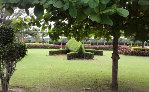 chennai landscape, chennai landscaping, chennai landscape designers, chennai garden maintenance, chennai garden management,